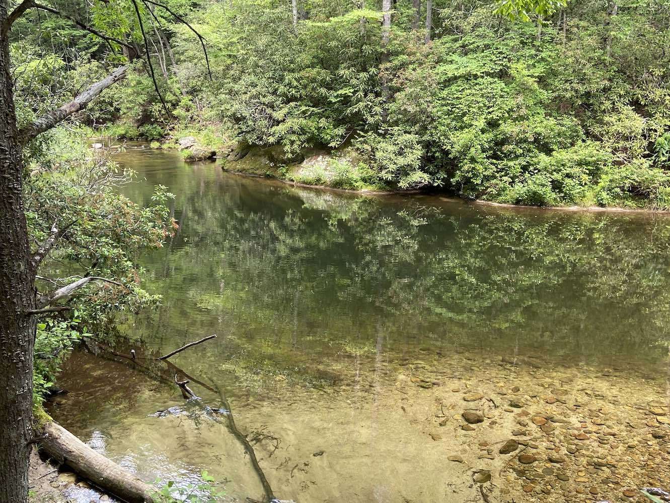 Swimming hole near the creek entry point (facing upstream)