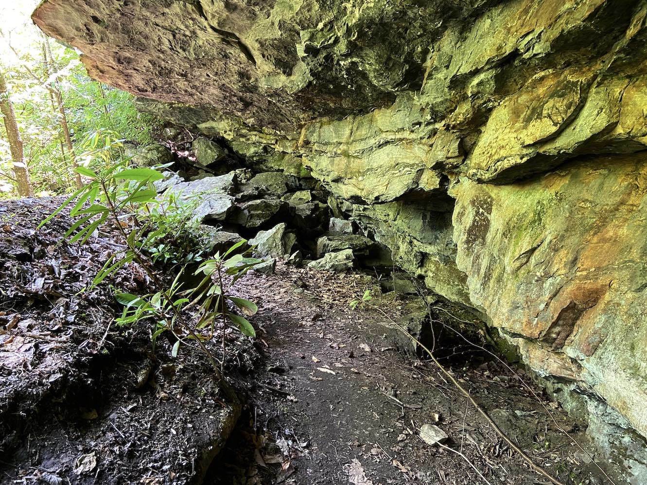 Cliff along the Conley Cove Trail